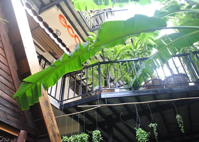 Eco House